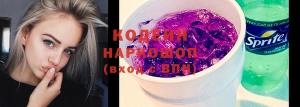 дживик Ельня