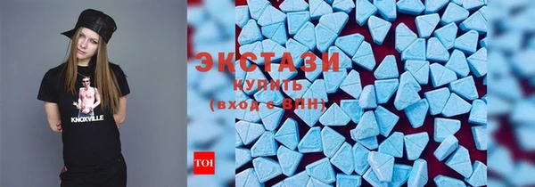 дживик Ельня