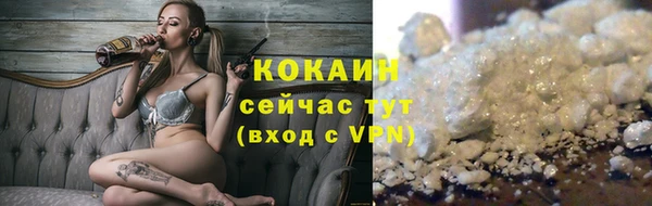 молекула духа Протвино