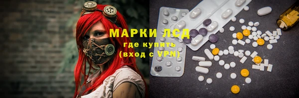 дживик Ельня