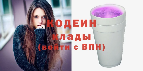 дживик Ельня