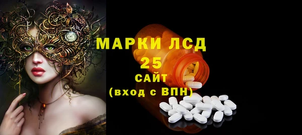 дживик Ельня