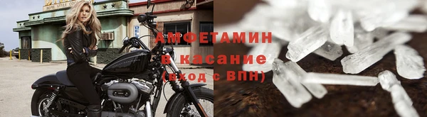 дживик Ельня