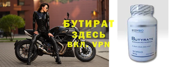 дживик Ельня