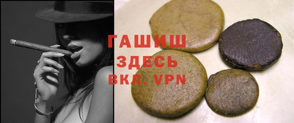 дживик Ельня