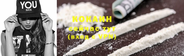 гашик Елизово