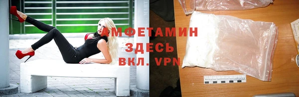 дживик Ельня