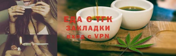дживик Ельня