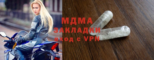 дживик Ельня
