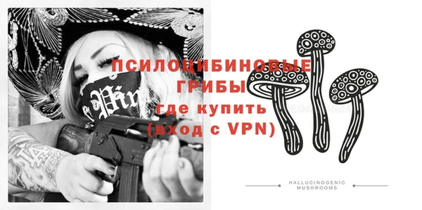 гашик Елизово
