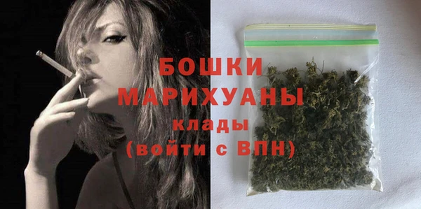 дживик Ельня