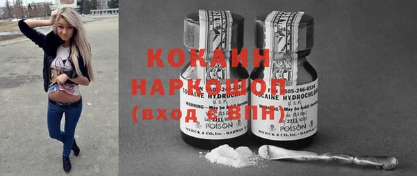 дживик Ельня