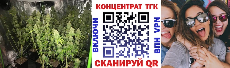 где купить наркоту  OMG как зайти  Дистиллят ТГК вейп  Пролетарск 