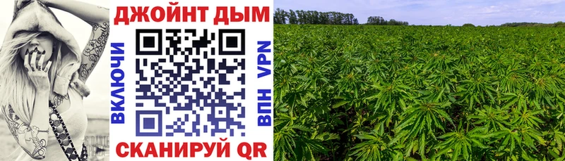 МАРИХУАНА индика mega ссылка Пролетарск